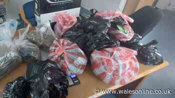 Huge cannabis haul found in parked car in Port Talbot