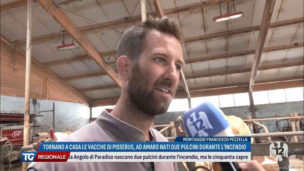 TG REGIONALE | 19/08/2026