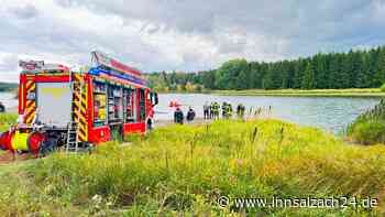 „Es war wirklich tragisch“: Pferde rennen mit Kutsche in Stausee – und sterben grausam