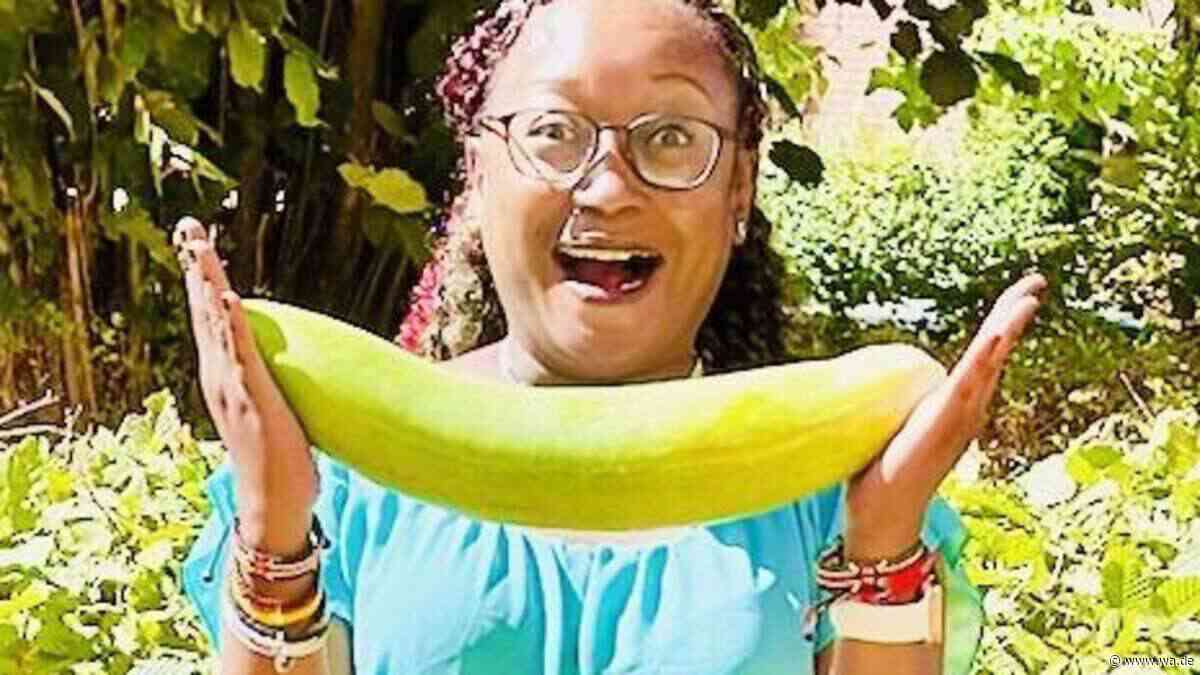 Besonderes Gemüse: Superfood, Hantel und sogar Waffe? Diese Gurke ist ein Alleskönner