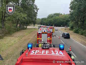 Speyer – Unfall auf der L528: Zwei Autos krachen im Wald zusammen – drei Kinder unter den Beteiligten