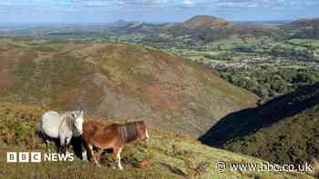 Nature recovery on hills given £1m funding