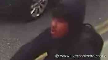 CCTV appeal after boy, 13, robbed at knifepoint in Calderstones Park