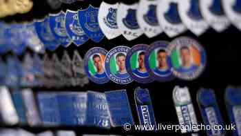 Everton programme and scarf sellers could get new home outside Hill Dickinson Stadium