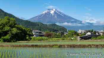 Boy, seven, left alone on Mount Fuji by dad after becoming tired on hike