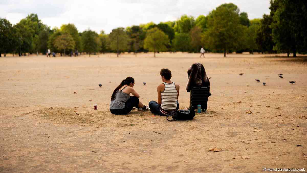 UK El Niño warning as 'unprecedented' event could push up food prices and bring storms