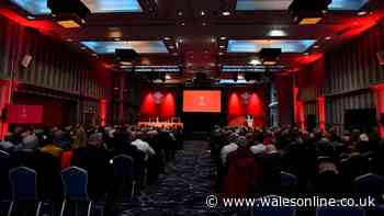 EGM plot to oust entire WRU board under way as call to be made 'in weeks'