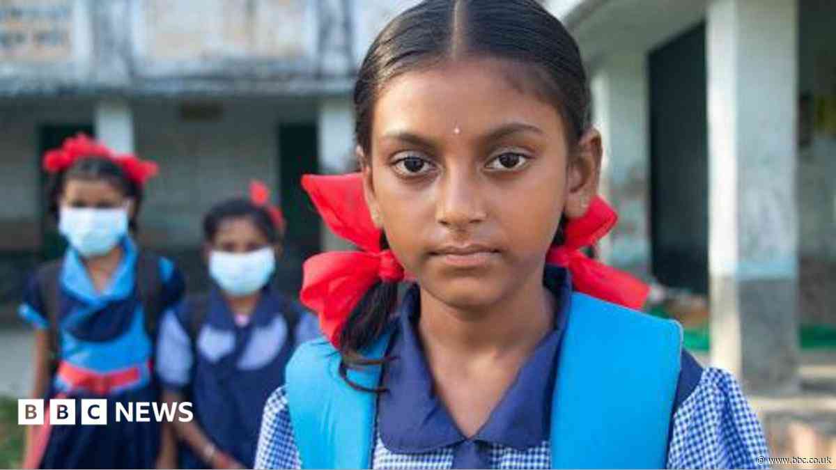 Broken toilets, leaking roofs: Why India's 'cockroach' party wants to fix schools