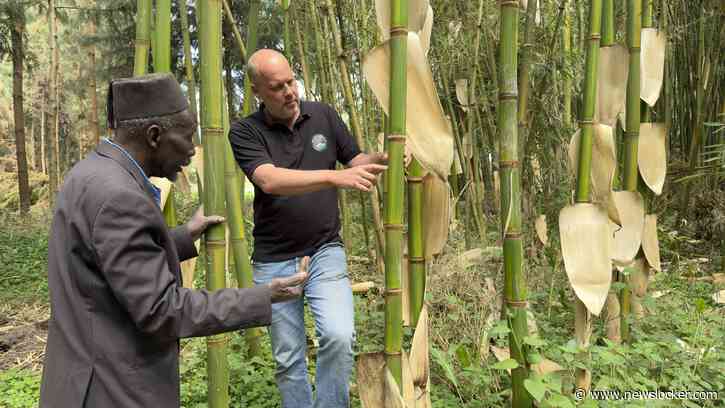 Arthur (49) was oorlogscorrespondent en is nu ’bamboebaron’ van Kenia: ’Ik dacht even, wat heb ik nou gedaan?’