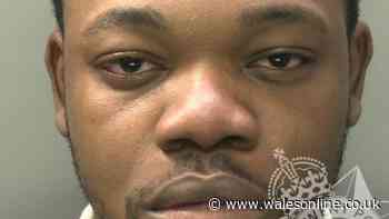 Sexual predator abused women and humiliated and degraded them