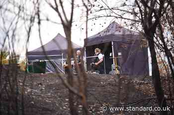 Murder probe launched after human bones uncovered by London wildfire