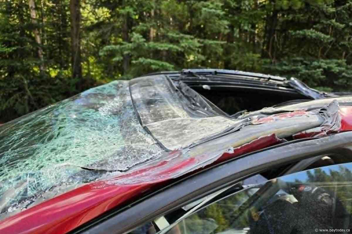 Driver in crash with plane in northern B.C. says he 'shouldn't be here'