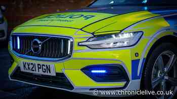 Woman arrested after disorder in North Shields sees fireworks targeted at police vehicles