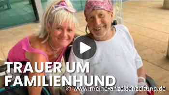 „Goodbye Deutschland“-Stars trauern um treuen Begleiter
