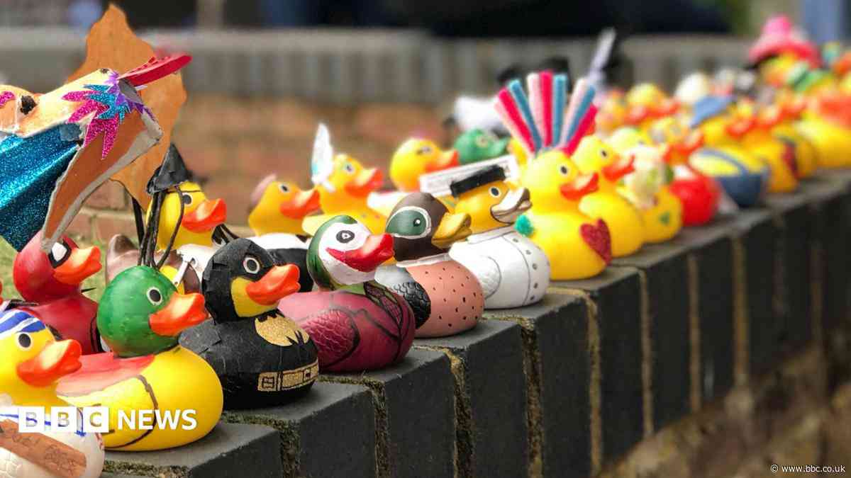 Duck race postponed due to low river levels