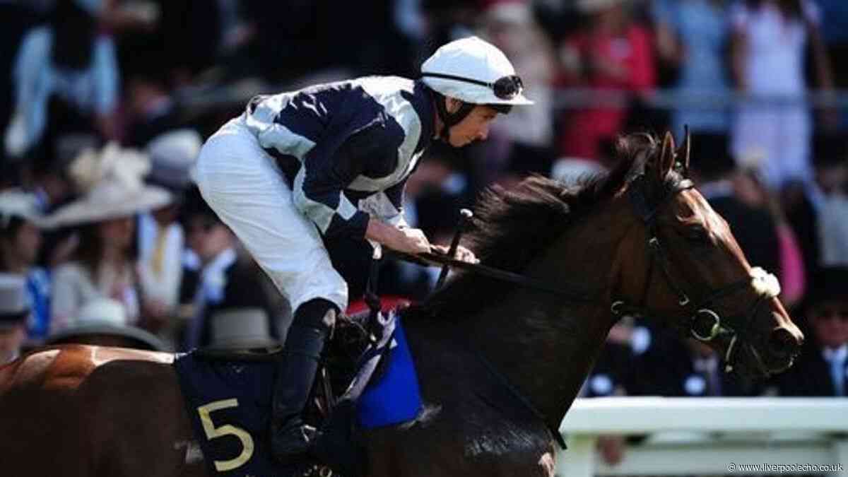 Horse Power: Emit can win the Ebor Handicap at York