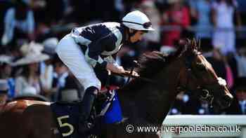 Horse Power: Emit can win the Ebor Handicap at York