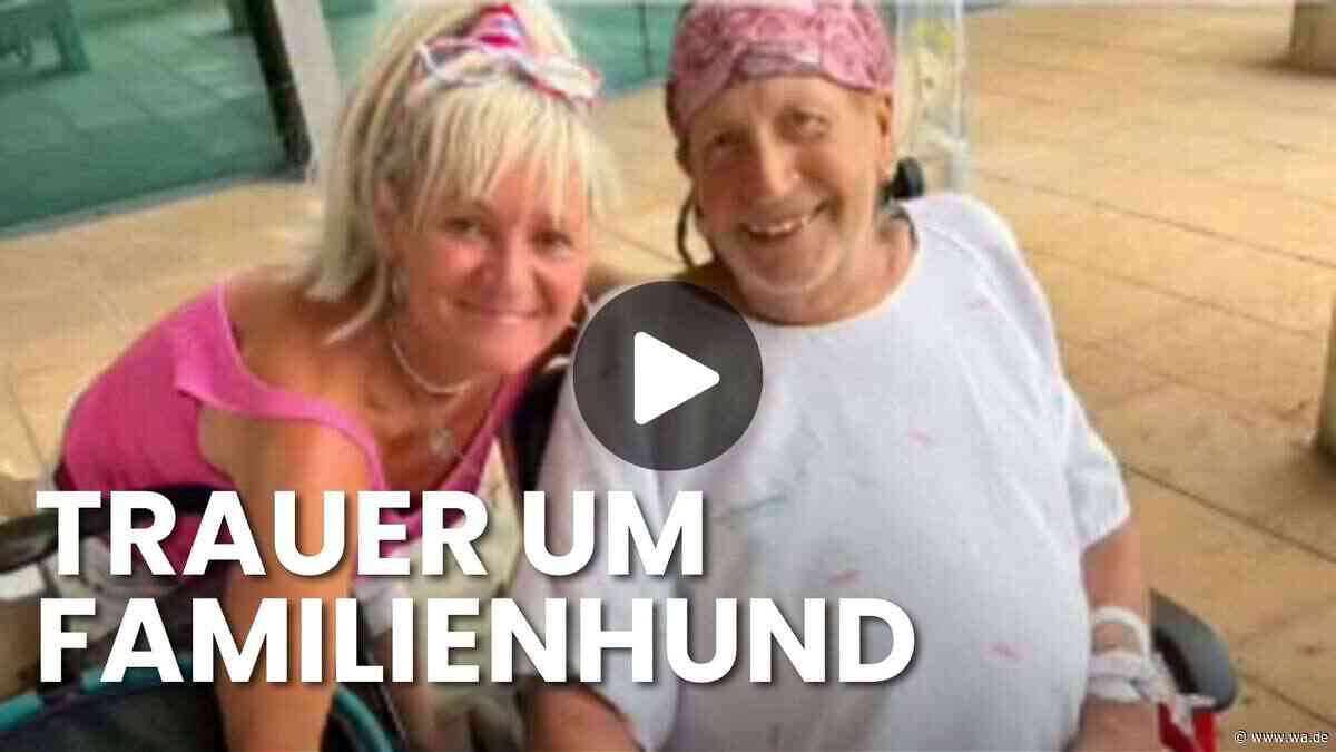 „Goodbye Deutschland“-Stars trauern um treuen Begleiter