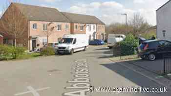 Pensioner attacked by armed thugs at Bradford home