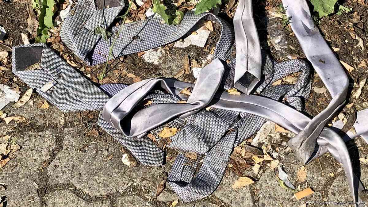 Krawatten, Sperrmüll, Altreifen: Müllproblem vor VW in Salzgitter – wer räumt auf?