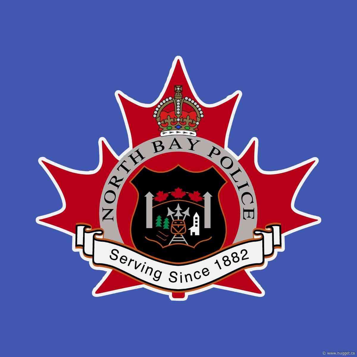 North Bay Police Service lays 25 charges, seize 9 guns, in Intimate Partner Violence Investigation