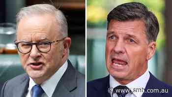 Labor and Coalition unite to ringfence AI from One Nation backlash