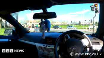 Toys impeded fatal crash driver's view, police say