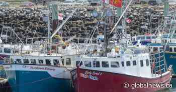 N.S. fishers plan appeal after court dismisses lobster treaty rights case