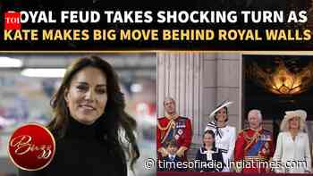 Prince Harry’s UK Return Puts William On The Spot; Kate Pushes For Brothers’ Peace
