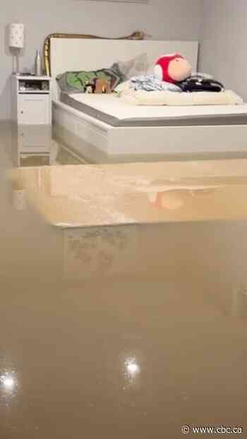What to know about home insurance if you live in a flood-prone area