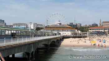 Woman, 19, raped on Bournemouth seafront had desperately fought her attacker