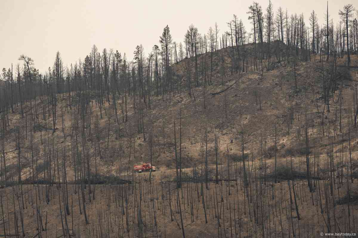 Charred road to recovery as crews work to restore services in B.C.'s south Okanagan
