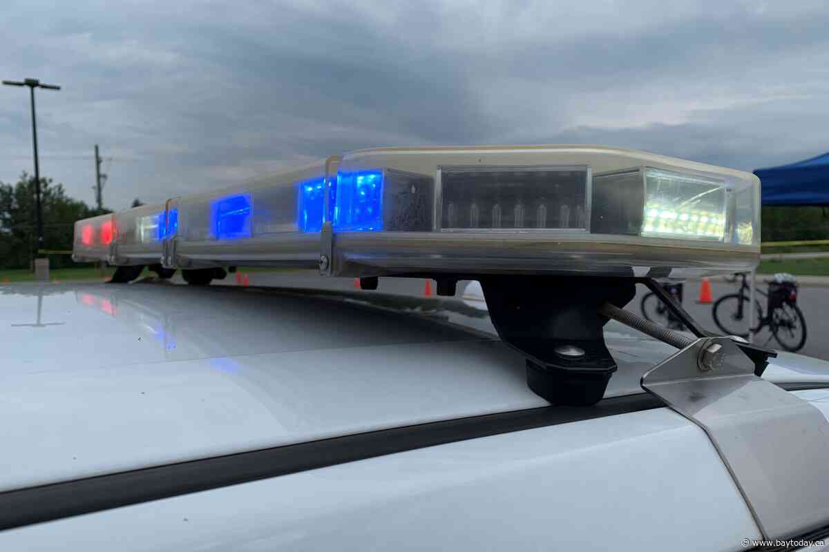 Adult directs youngster to puncture vehicle tires and point gun