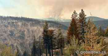 More Summerland residents allowed home as Bald Range fire grows to 24,000 hectares