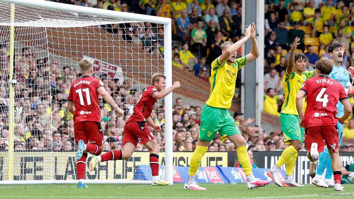 Norwich boss: No VAR in 2nd tier is 'madness'