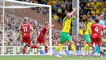 Norwich boss: No VAR in 2nd tier is 'madness'