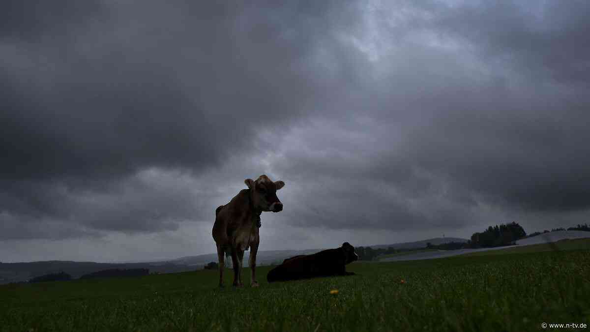 Überflutete Keller: Dauerregen in Bayern sorgt für Überschwemmungen