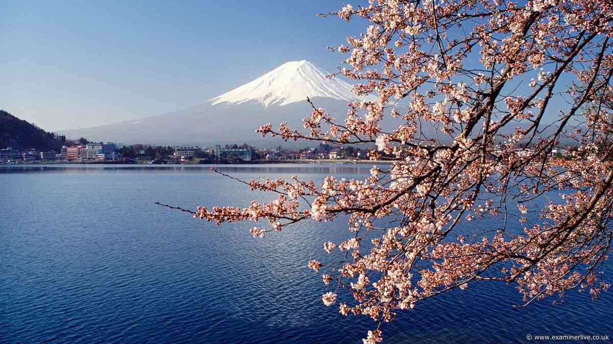 Child left alone on side of Japan's Mount Fuji after dad went on without him