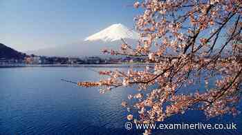Child left alone on side of Japan's Mount Fuji after dad went on without him