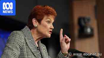 How much does it cost to fight Pauline Hanson? Labor has options