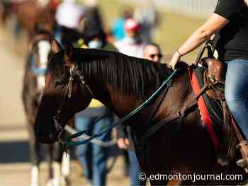 Hometown horses: Edmonton man brings two contenders to 2026 Canadian Derby