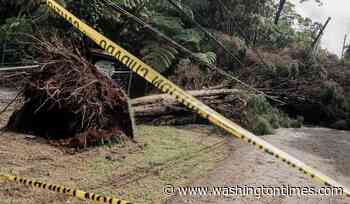 Heavy rain and winds to hit Hawaii less than a week after damage from Hurricane Lala