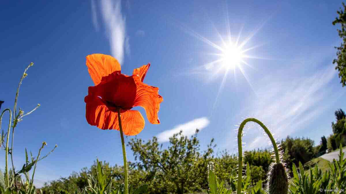 Nach Regen und Gewittern: Kommt der Sommer in NRW zurück? Experte gibt erste Prognose