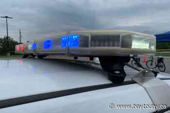 Adult directs youngster to puncture vehicle tires, then points gun at home