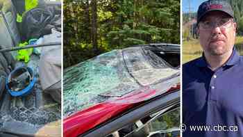 'All of a sudden it was on top of me': Harrowing moments as plane crashes into cars on B.C. road