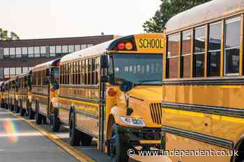 Why are school buses yellow? The fascinating history of an American icon