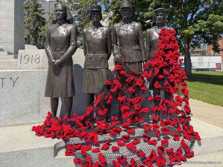 Brantford Poppy Project has exceeded organizers' expectations