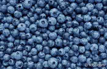 Recall of frozen blueberries categorized under FDA's highest Class I risk level