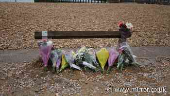 Shoreham beach tragedy: Girl, six, dies in hospital bringing death toll to four