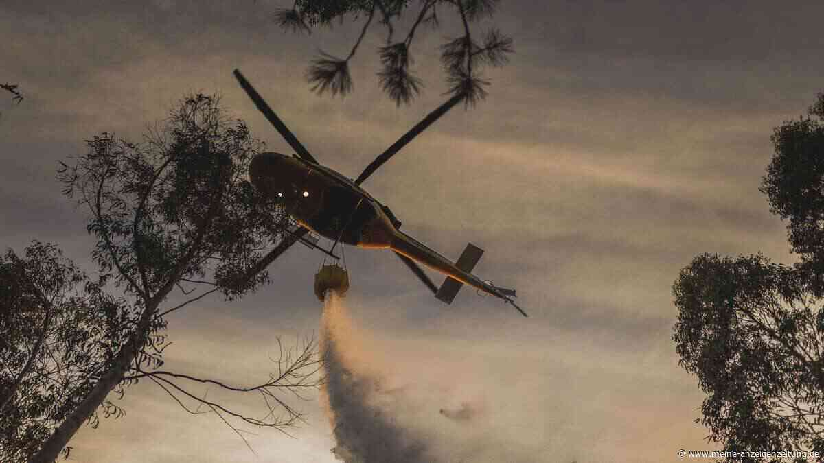 Waldbrand in Spanien breitet sich aus: Hunderte Menschen in Valencia müssen ihre Häuser verlassen